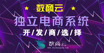 獨立商城系統(tǒng)平臺開發(fā)公司哪家靠譜